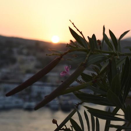 Marea Studios Symi Exteriér fotografie