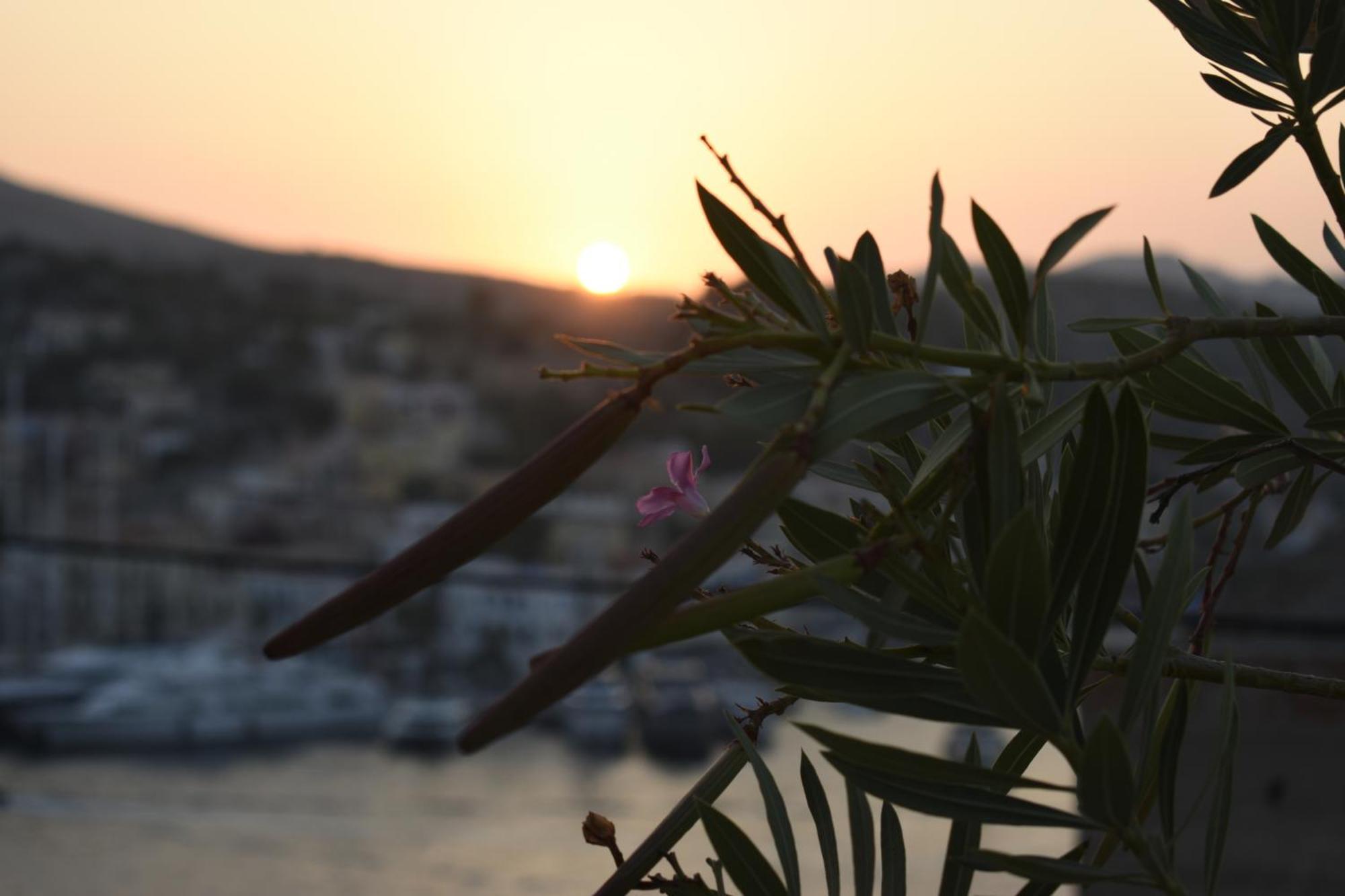 Marea Studios Symi Exteriér fotografie